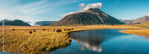 Beautiful, dramatic Iceland landscape with mountains reflections in a river, glacier and Icelandic horses, Europe photo