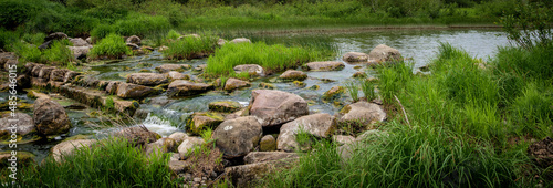 Spring background with a beautiful landscape on the river, nature in summer