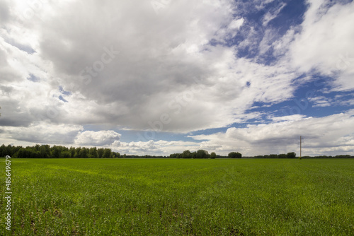 Panoramic view of light clouds over a wide green field.