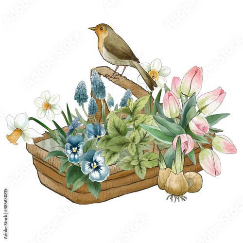 Gardening composition, vintage watercolor art, hand drawn