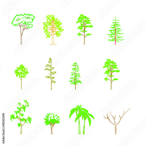 Set of trees.