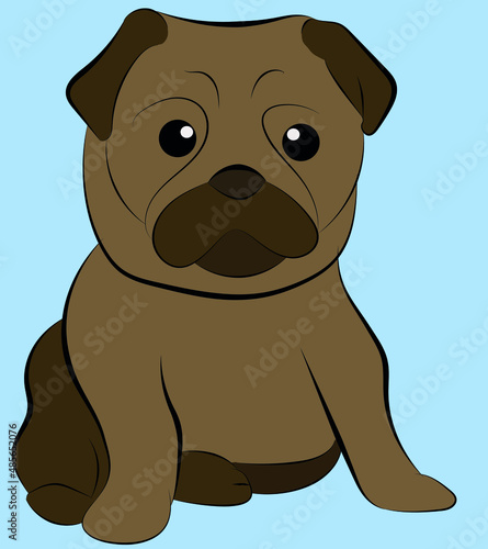 pet dog pug animated cute