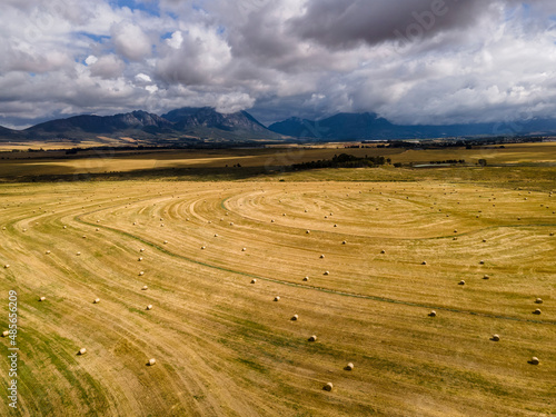 Aerial view of wheat farm harvest in Tulbagh with stormy clouds in background in the Swartland region of the Western Cape, South Africa. photo