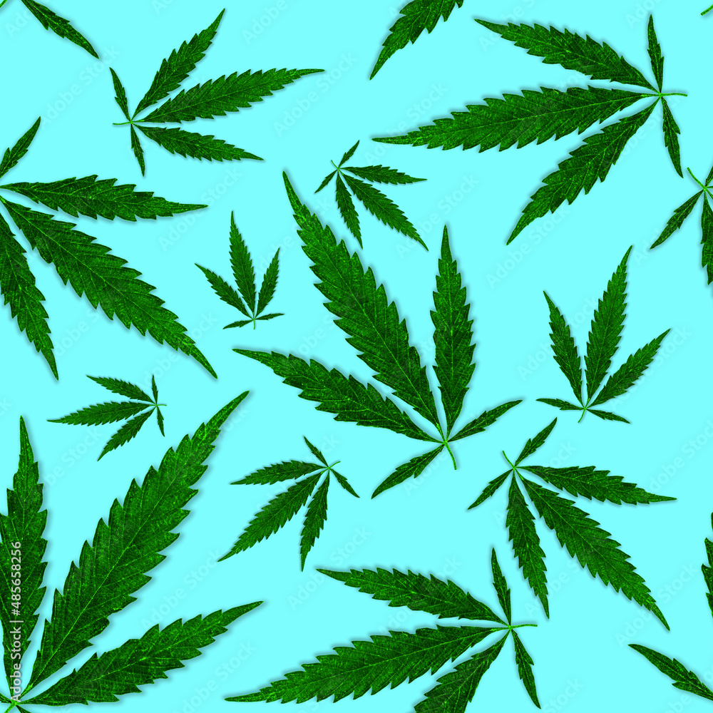 seamless pattern of falling hemp leaves on a blue background