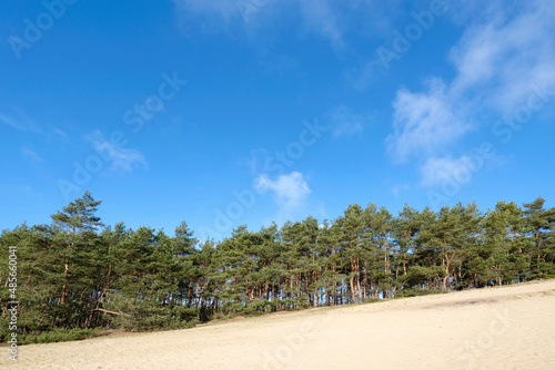 Leuvenumse bossen  Hulshortserzand