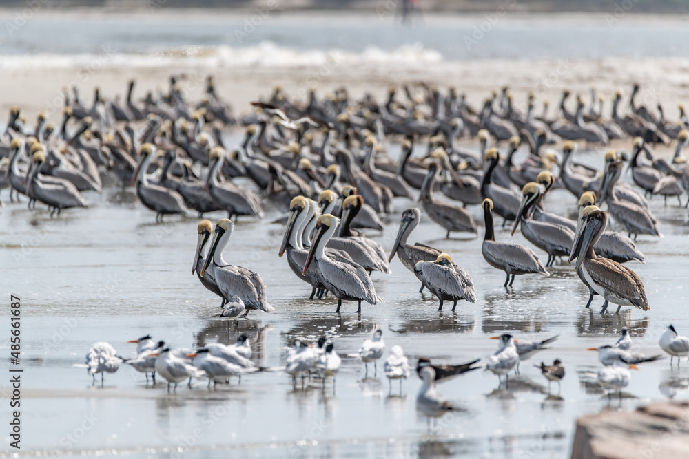 Fototapeta premium creative