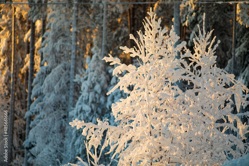  Blurred winter background.