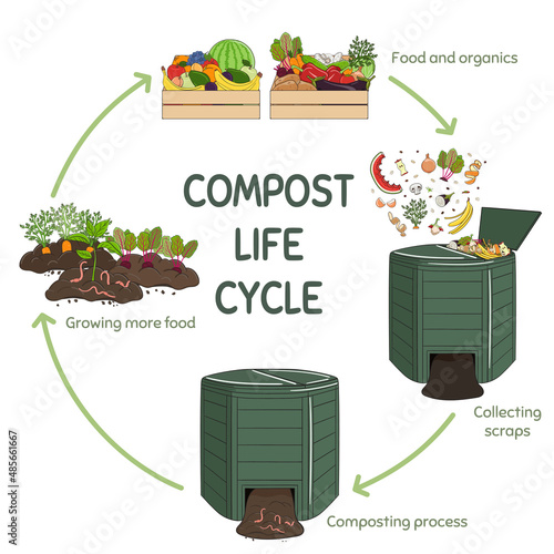 Compost life circle infographic. Composting process. Schema of recycling organic waste from collecting kitchen scraps to use compost for farming. Zero waste. Hand drawn vector illustration.