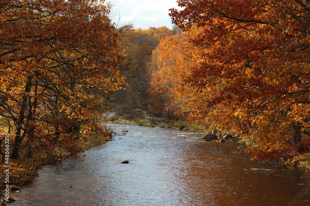 Fluss im Herbst Fluss im Herbst