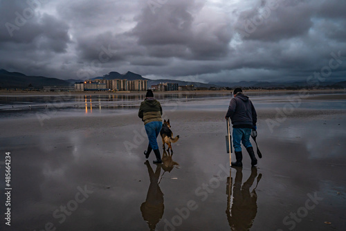 people and German Sheppard dog clam digging on the beach at Seaside, Oregon with Seaside hotels in background. Reflection in the wet sand and dramatic sky. dog pointing at clam hole, photo