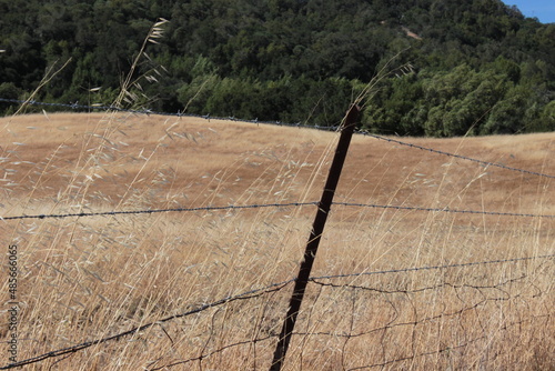 Wallpaper Mural Barbed wire fence next to pasture and hills. Torontodigital.ca