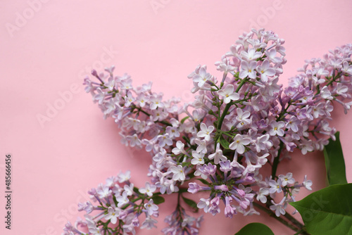 spring background. postcard mockup. lilac bouquet and space for text 