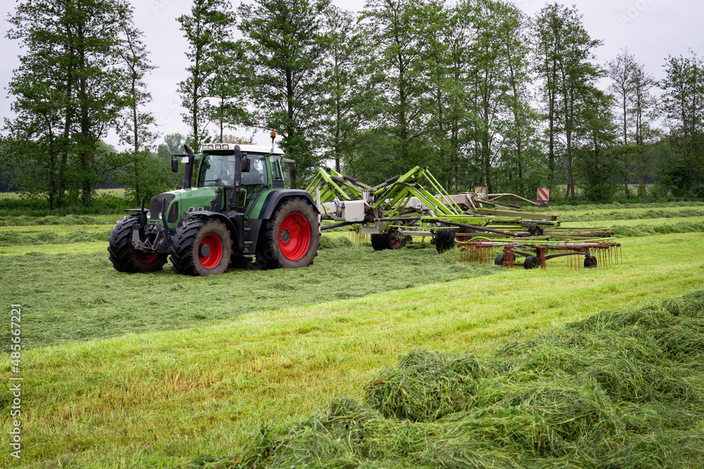Obraz premium Traktor mit angehängtem Grasschwader beim Zusammenziehen von breit verteiltem Gras.
