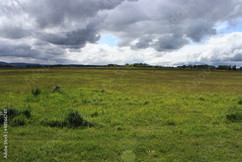 Wallpaper Mural Scottish Meadow Torontodigital.ca