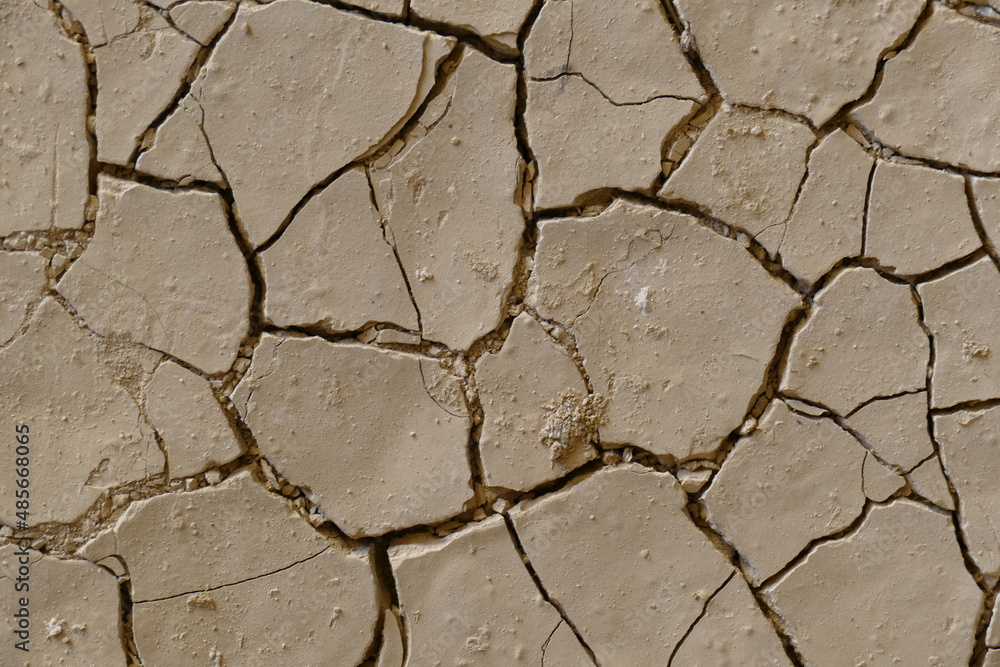 Fototapeta premium Tierras secas y agrietadas por la sequía y el cambio climático