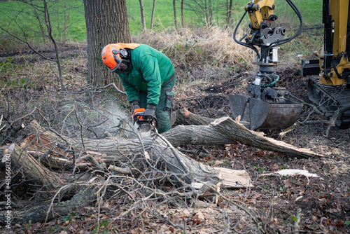 Forsttechnik und Arbeitsschutz sind unentbehrlich bei der teilweise sehr schweren Arbeit im Wald.