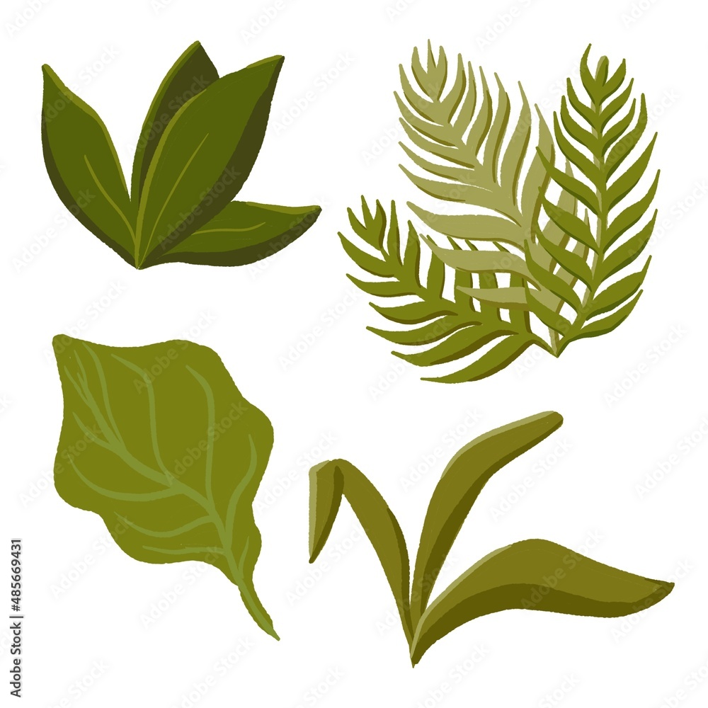 Different green leaves set on white background, eco spring collection ...