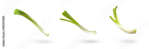 Set sliced green onion on a white background. Green onion slices fall or fly, casting a shadow