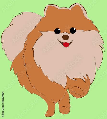  pet pomeranian dog animated cute pomeranian 