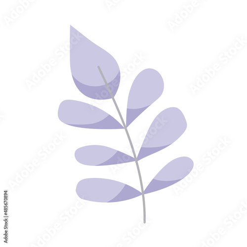 lilac leafs plant
