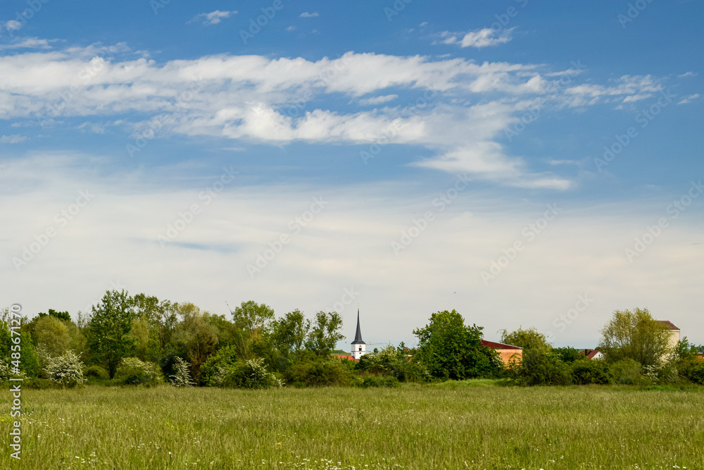 landscape with trees