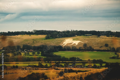 english countryside landscape lion photo