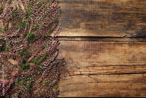 Heather branches with beautiful flowers on wooden table, flat lay. Space for text