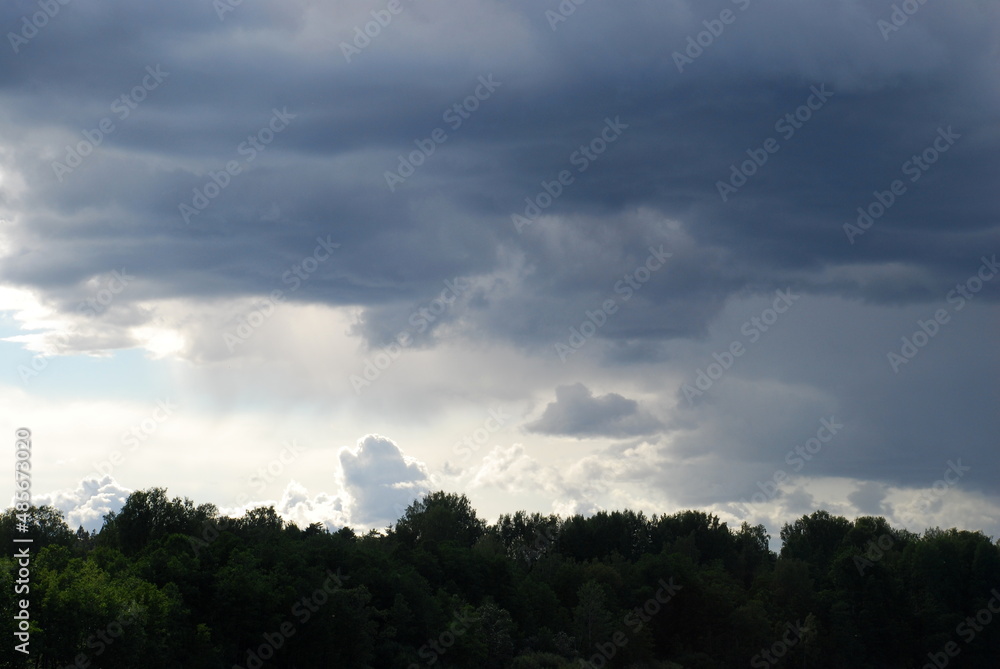 White-gray clouds over the forest. In the rays of the sun, large cumulus white-gray clouds majestically float across the light blue sky. They spread out over the forest, their forms are varied.