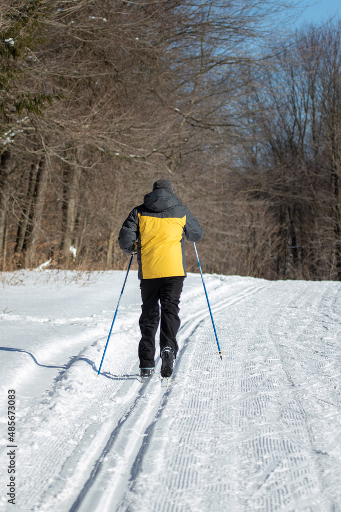 portrait of a winter activity, person skiing down trail in winter