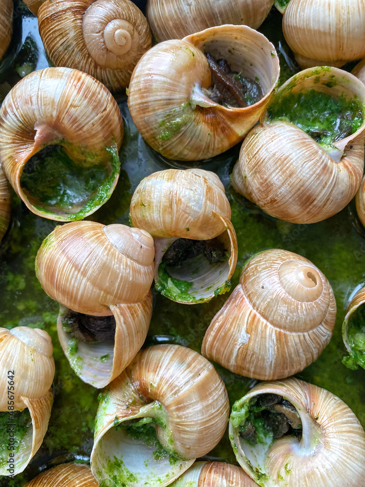 snails snails