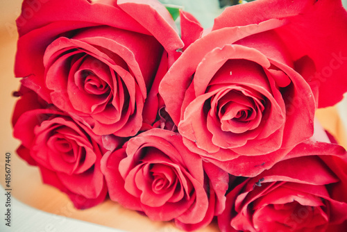 Beautiful bouquet of red roses on a white background with green leaves