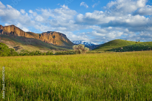Cliffs and snow capped mountains of the Absaroka Range above a field in western Wyoming photo