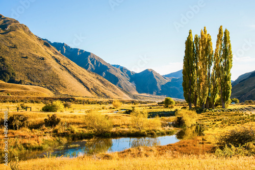 Autumn Landscape and Poplar Trees at Lake Moke, Queenstown, South Island, New Zealand © Matthew