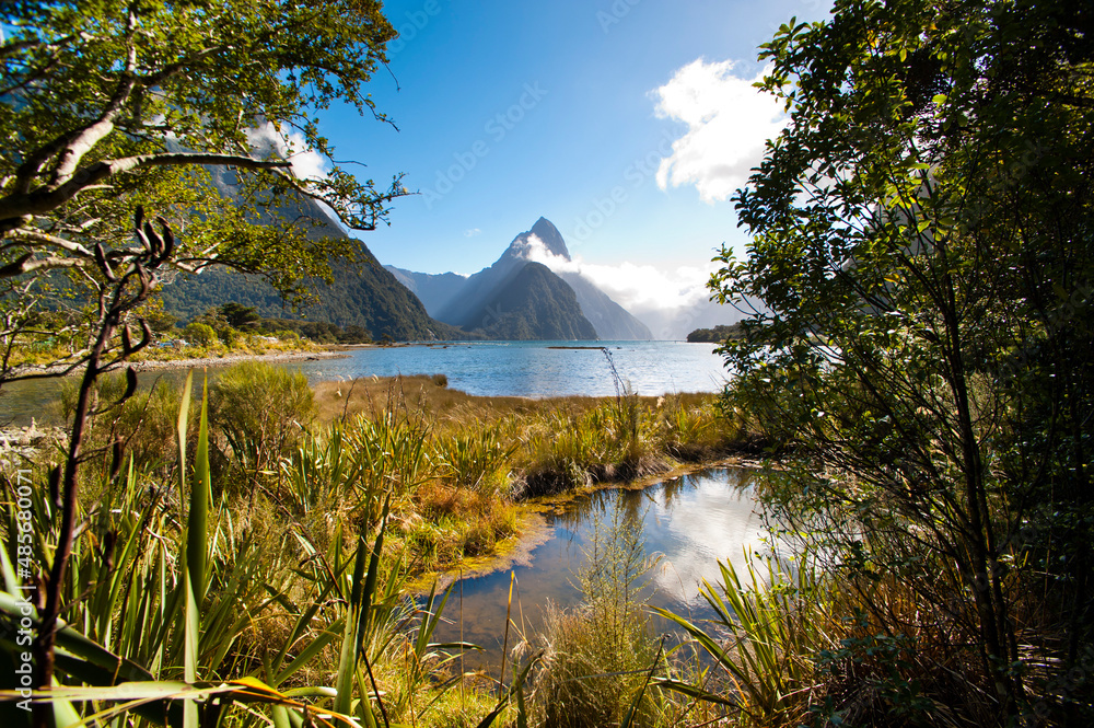 Mitre Peak Seen Through the Trees at Milford Sound, Fiordland, South Island, New Zealand