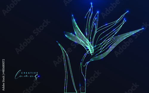 Flower illuminated with stars and lines. Bird of paradise, neon effect, starry in the universe. Nature model: futuristic, big data, ai.