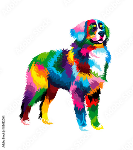 Abstract Bernese Mountain Dog from multicolored paints. Colored drawing. Vector illustration of paints