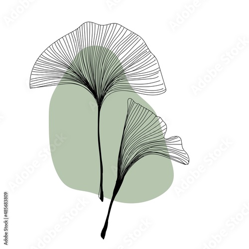 Herbal plant ginkgo line art freehand in modern trendy style. Minimalistic modern line art Flower with abstract shape background for print, beauty and fashion. vector illustration.