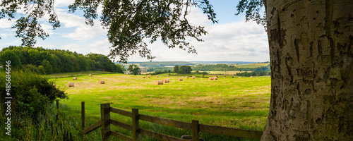 Hay bail landscape, Northumberland National Park, near Hexham, England, United Kingdom, Europe photo