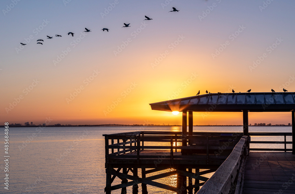 Sunrise over the pier in Safety Harbor, Florida with a flock of Ibis flying over in a line.