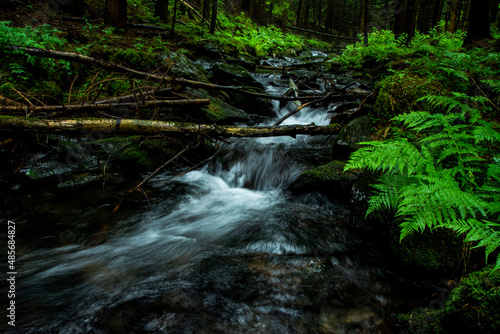 Natur