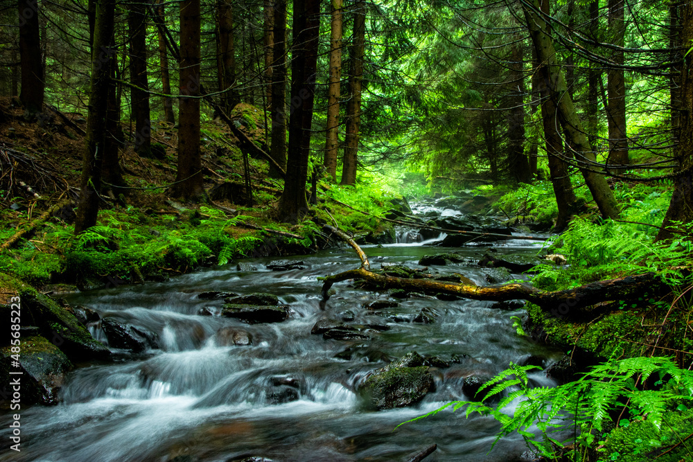 Natur Natur