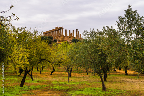 Valley of the Temples (Valle dei Templi), olive trees and Temple of Juno (Tempio di Giunone), Agrigento, Sicily, Italy, Europe