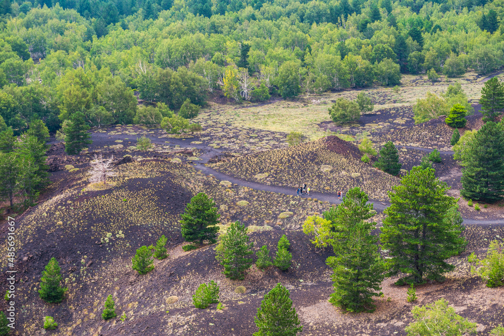 Mount Etna Volcano, forest on an old lava flow, Sicily, UNESCO World Heritage Site, Italy, Europe Mount Etna Volcano, forest on an old lava flow, Sicily, UNESCO World Heritage Site, Italy, Europe