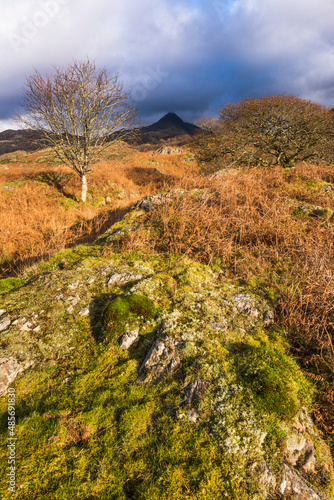 Cnicht seen from Croesor Valley, Snowdonia National Park, North Wales