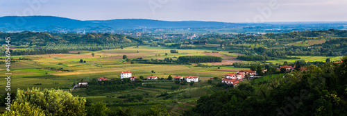 Slovenia wine region countryside, Goriska Brda (Gorizia Hills), Slovenia, Europe