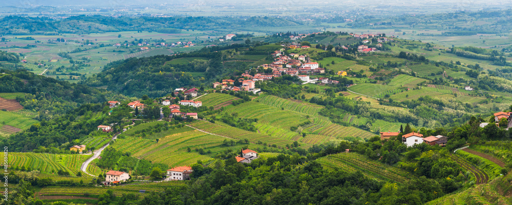 Kozana surrounded by vineyards in Goriska Brda (Gorizia Hills), in Brda, the wine region of Slovenia, Europe - obrazy, fototapety, plakaty 