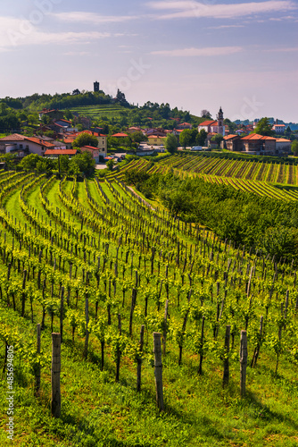 Kojsko, Goriska Brda, Slovenia. View of vineyards and Kojsko, Goriska Brda (Gorizia Hills), Slovenia, Europe