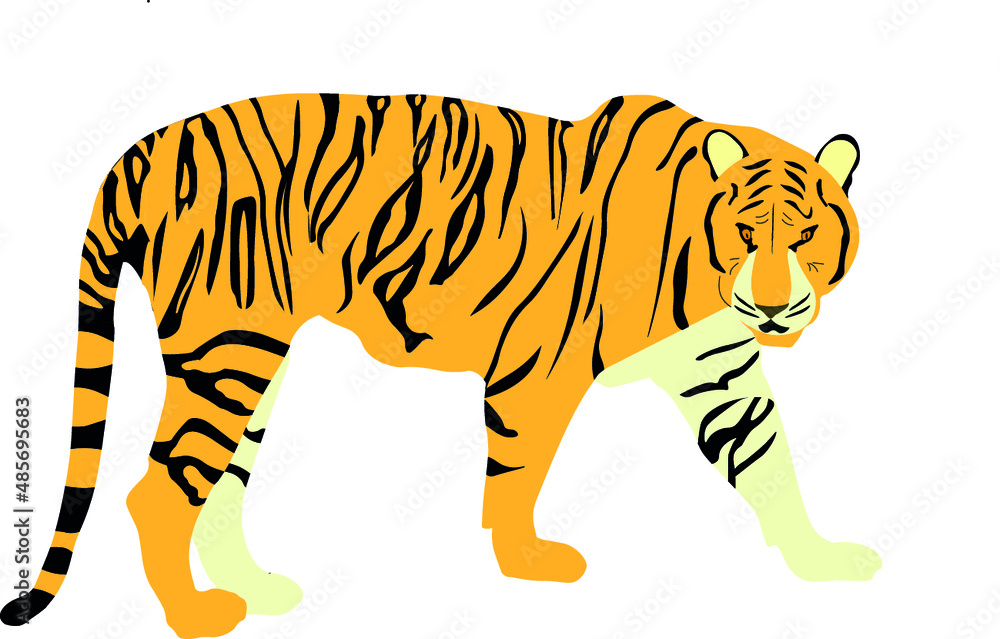 Naklejka premium tiger on white background