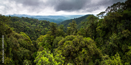 Choco Rainforest, Ecuador. This area of jungle is the Mashpi Cloud Forest in the Pichincha Province of Ecuador, South America