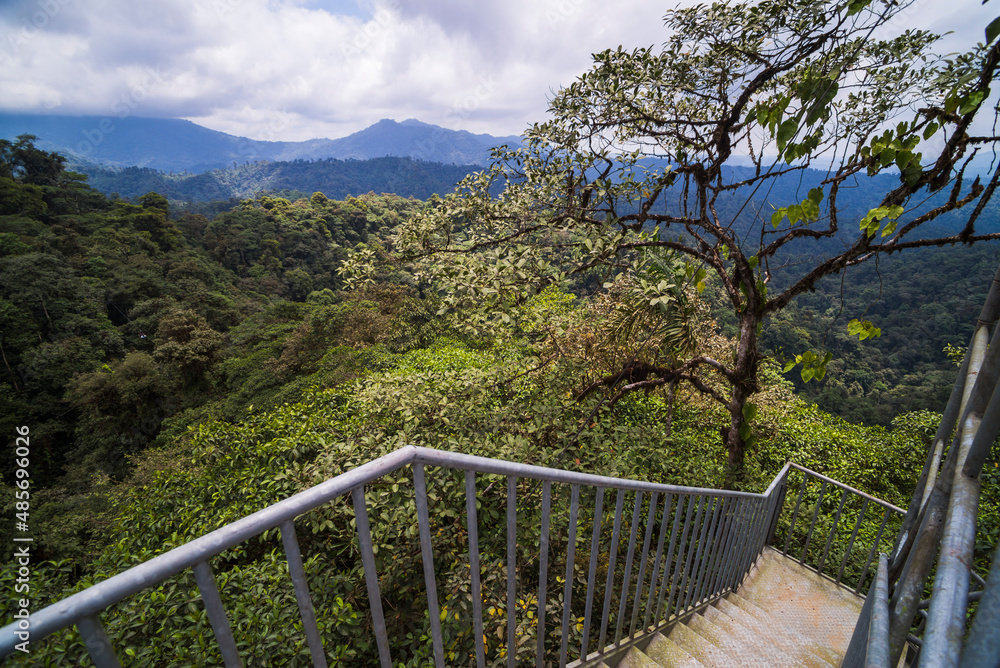 Mashpi Cloud Forest 26m tall observation tower, Choco Rainforest, Ecuador, South America Mashpi Cloud Forest 26m tall observation tower, Choco Rainforest, Ecuador, South America